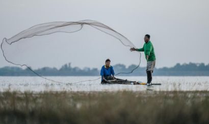 Put a shark in your tank